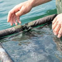 Nash Fail Safe Retainer Sling